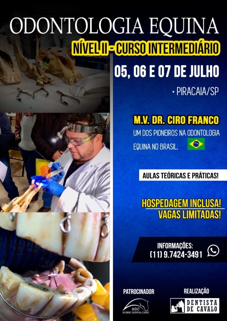 Dentista em Cavalos (Ameixial)